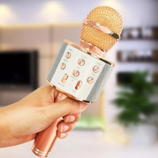 Bluetooth Karaoke mikrofon WS-858 (BBL)