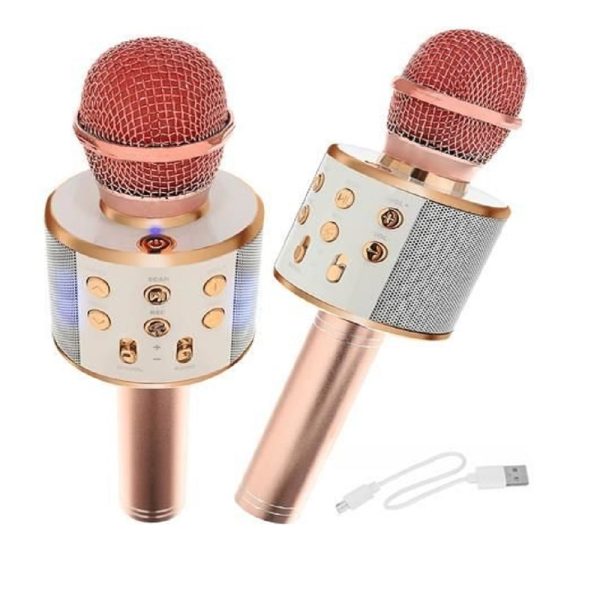 Bluetooth Karaoke mikrofon WS-858 (BBL)