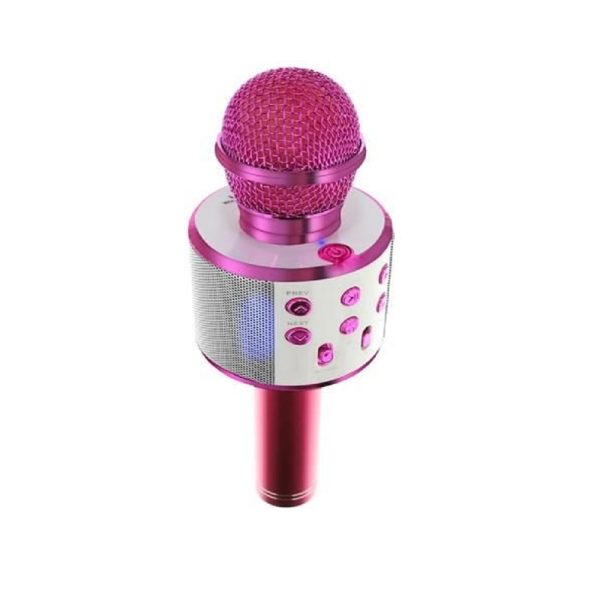 Bluetooth Karaoke mikrofon WS-858 (BBL)