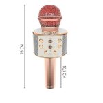 Bluetooth Karaoke mikrofon WS-858 (BBL)