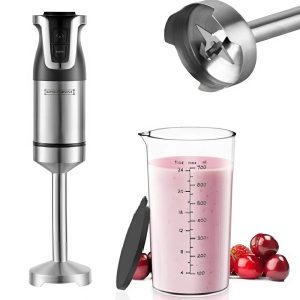 Royalty Line 800W függőleges kézi mixer – erőteljes, rozsdamentes acél - fordulatszám szabályozással (BBA)