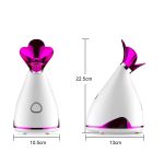Nano-ionos mélytisztító arcgőzölő - tisztító arc szauna a tökéletes arcbőrért (BBV)