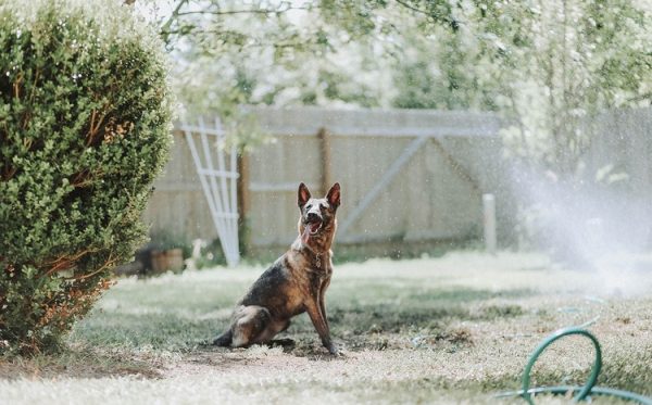 Vízpermet fújó, hűsítő párafüggöny rendszer kertbe, teraszra - 10m hosszú csővel és 11 permetező fejjel - slaghoz csatlakoztatható (BBD)