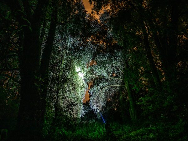 856 multifunkciós LED kézilámpa brutál fényerővel, 3 világítási móddal és IP44 vízálló vázzal - 500 méter hatótáv, power bank funkció (BBV)