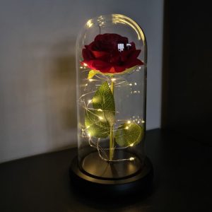 rose in glass 12