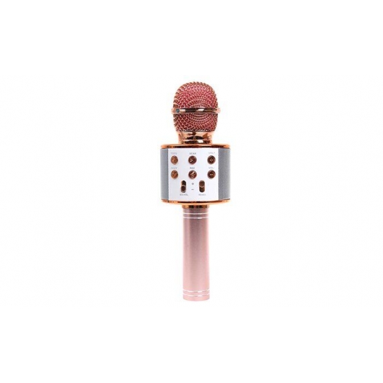 Bluetooth Karaoke mikrofon WS-858 (BBL)