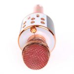 Bluetooth Karaoke mikrofon WS-858 (BBL)