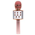 Bluetooth Karaoke mikrofon WS-858 (BBL)