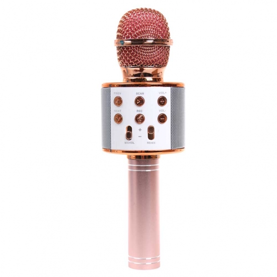 Bluetooth Karaoke mikrofon WS-858 (BBL)