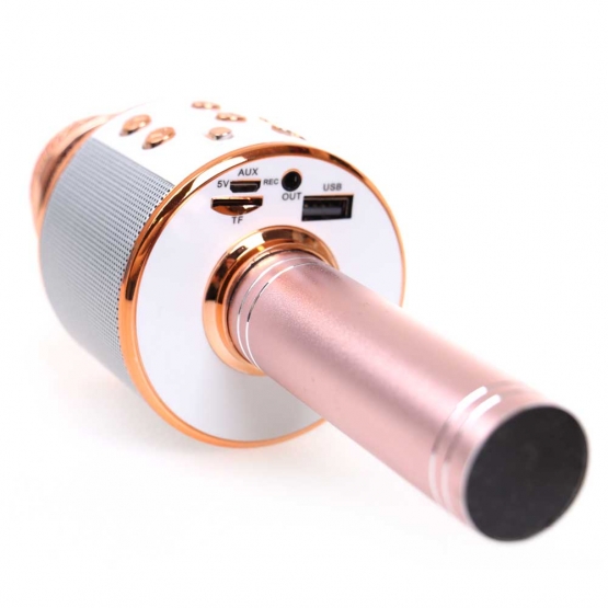 Bluetooth Karaoke mikrofon WS-858 (BBL)