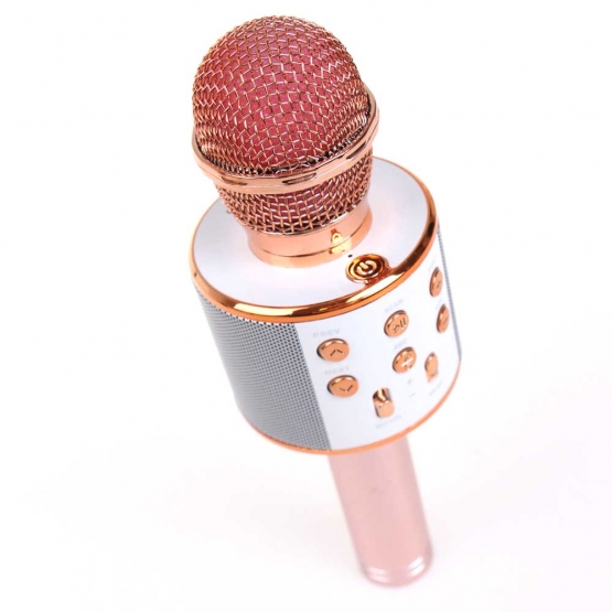 Bluetooth Karaoke mikrofon WS-858 (BBL)